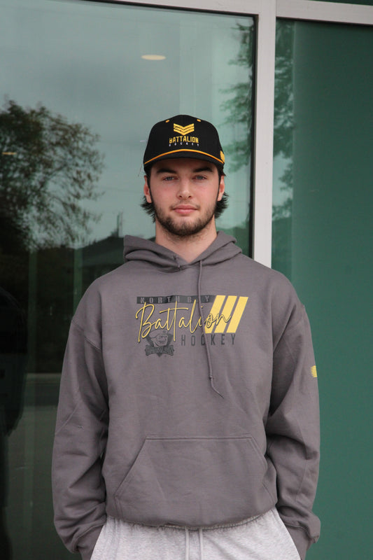 Gildan Hoody Grey Adult