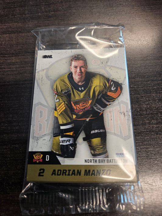 2025-26 Full Team Set Player Cards